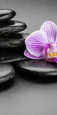 Estor decorativo con motivo de orquídea sobre las piedras