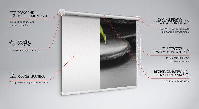 Estor decorativo con motivo de orquídea sobre las piedras