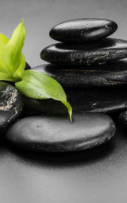Estor decorativo con motivo de orquídea sobre las piedras