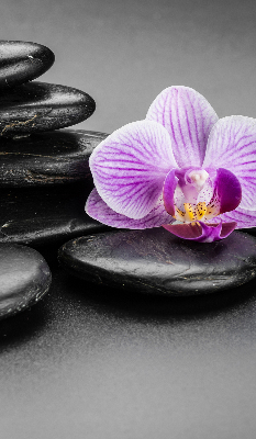 Estor decorativo con motivo de orquídea sobre las piedras