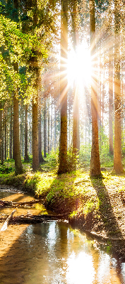 Estor decorativo con la imagen del sol brillando a través de los árboles