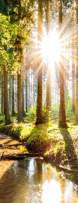 Estor decorativo con la imagen del sol brillando a través de los árboles