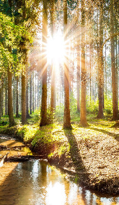 Estor decorativo con la imagen del sol brillando a través de los árboles