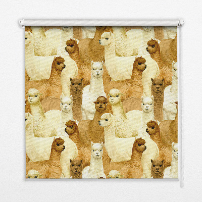 Estor decorativo un rebaño de alpacas