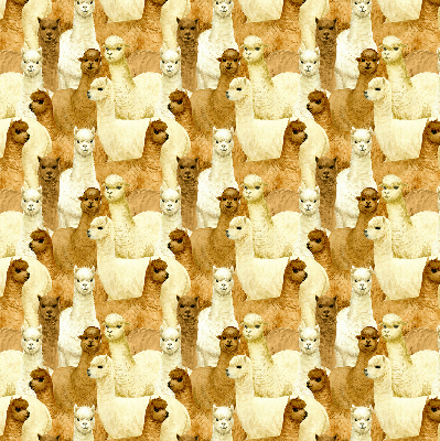 Estor decorativo un rebaño de alpacas