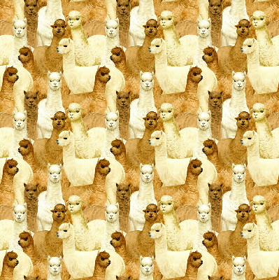 Estor decorativo un rebaño de alpacas