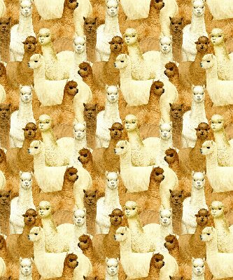 Estor decorativo un rebaño de alpacas