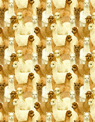Estor decorativo un rebaño de alpacas