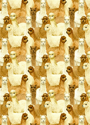 Estor decorativo un rebaño de alpacas