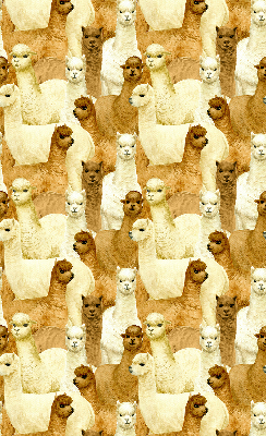 Estor decorativo un rebaño de alpacas