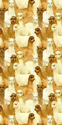Estor decorativo un rebaño de alpacas