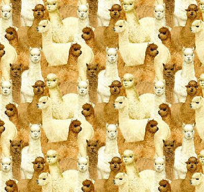 Estor decorativo un rebaño de alpacas