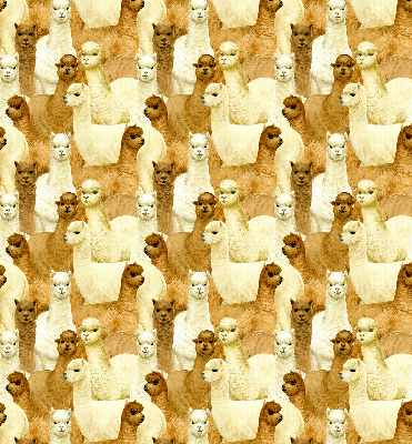 Estor decorativo un rebaño de alpacas