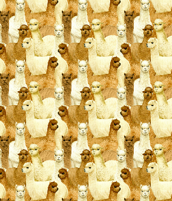 Estor decorativo un rebaño de alpacas