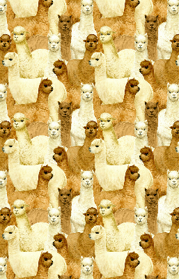 Estor decorativo un rebaño de alpacas