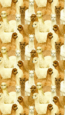 Estor decorativo un rebaño de alpacas