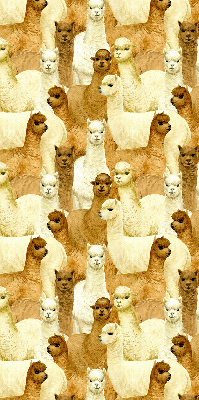 Estor decorativo un rebaño de alpacas