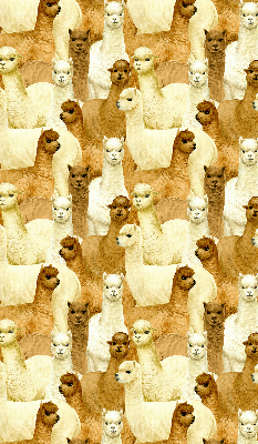 Estor decorativo un rebaño de alpacas