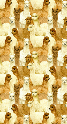Estor decorativo un rebaño de alpacas
