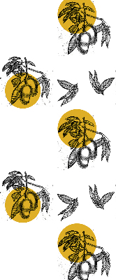 Estor decorativo con diseño de frutas y círculos amarillos