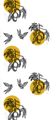 Estor decorativo con diseño de frutas y círculos amarillos