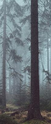 Estor enrollable de tela bosque por la noche