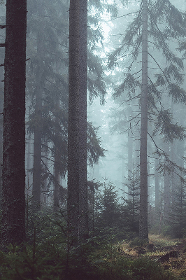 Estor enrollable de tela bosque por la noche