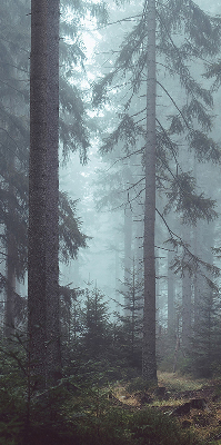 Estor enrollable de tela bosque por la noche