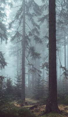 Estor enrollable de tela bosque por la noche