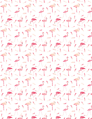 Estor opaco de los flamencos y sus plumas