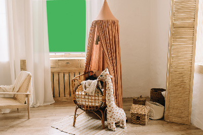 Estor opaco verde