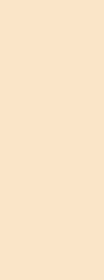 Estor decorativo beige