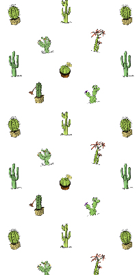 Estor enrollable de tela cactus
