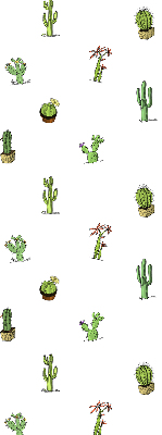 Estor enrollable de tela cactus