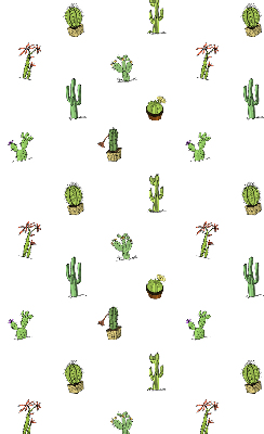 Estor enrollable de tela cactus