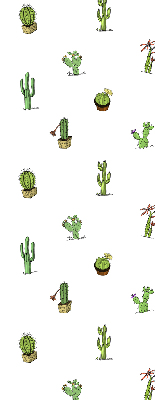 Estor enrollable de tela cactus