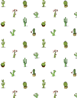 Estor enrollable de tela cactus