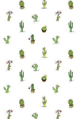 Estor enrollable de tela cactus