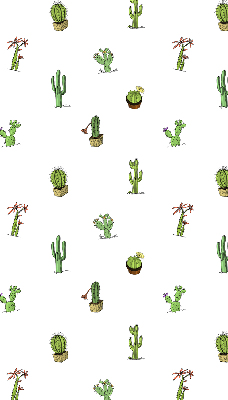 Estor enrollable de tela cactus