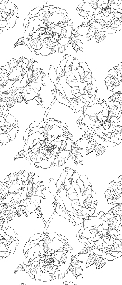 Estor decorativo con rosas dibujadas