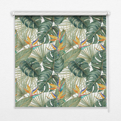 Estor decorativo de plantas tropicales
