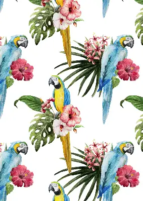 Estor enrollable de tela loro sobre flores
