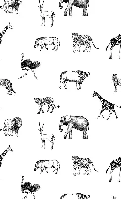 Estor opaco con diseño de animales