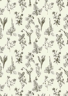 Estor decorativo con flores dibujadas
