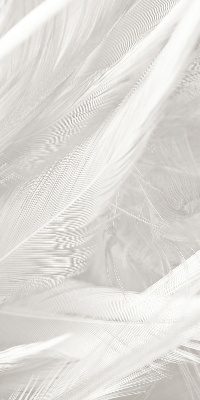 Estor decorativo de plumas