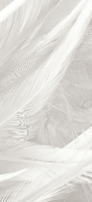 Estor decorativo de plumas