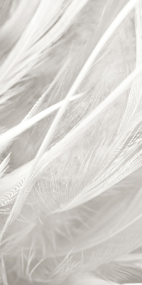 Estor decorativo de plumas
