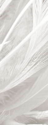 Estor decorativo de plumas