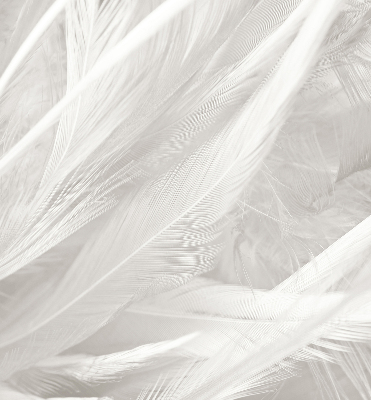 Estor decorativo de plumas