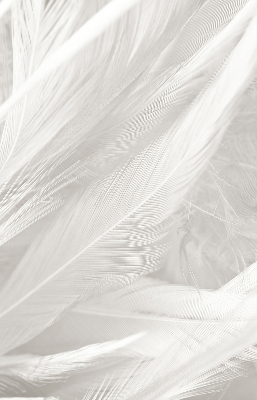 Estor decorativo de plumas